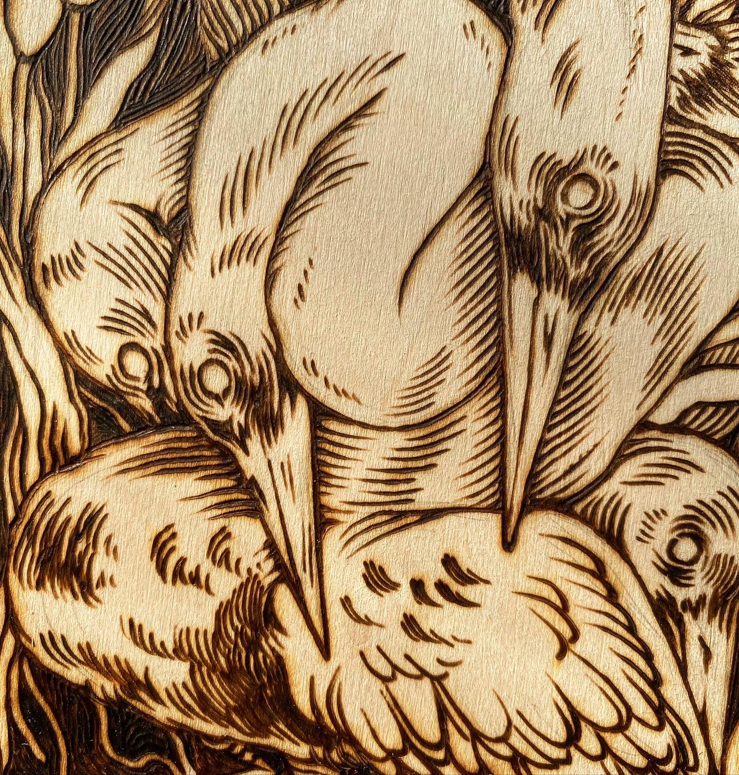 Head Knotted Stork, a Wood-Burned Piece