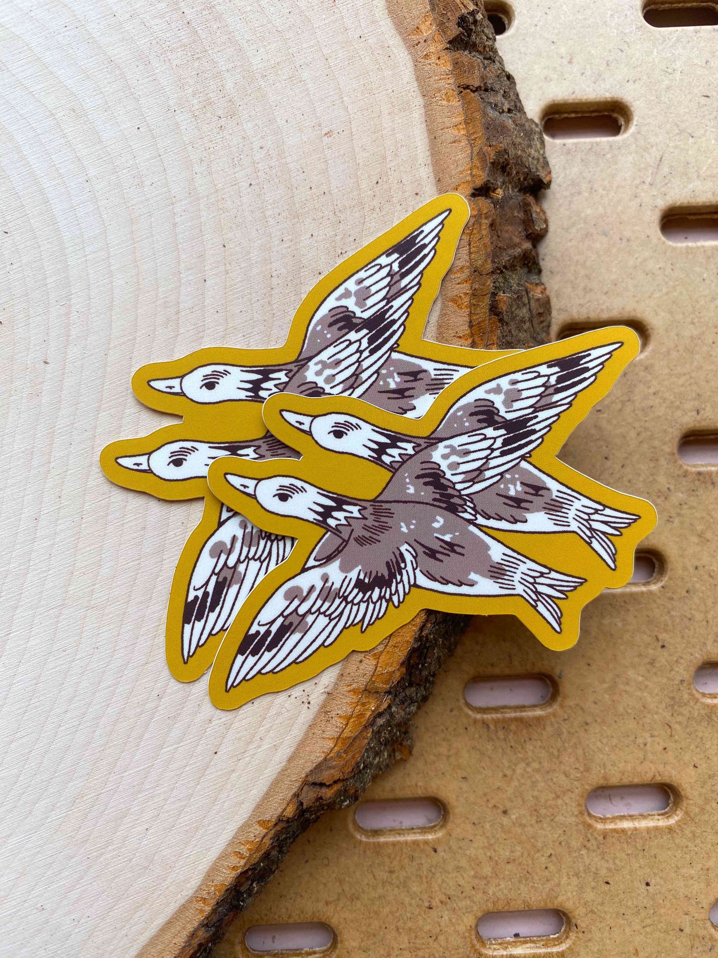 Bird Migration Sticker