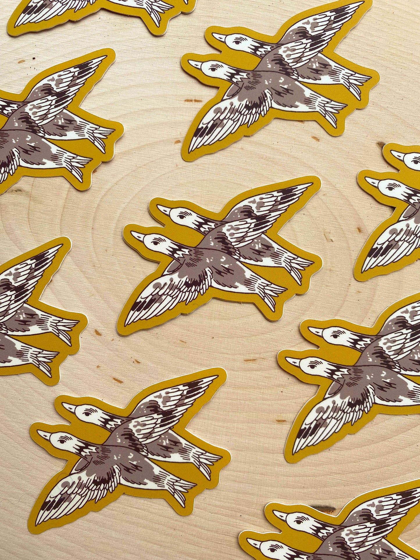 Bird Migration Sticker