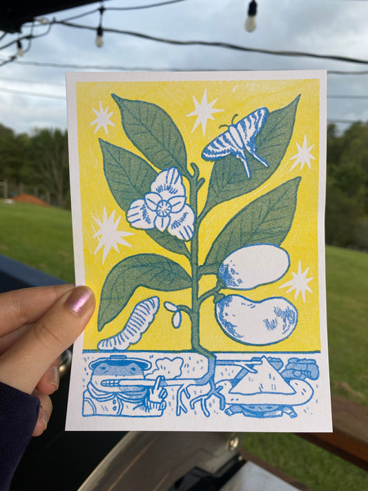 Paw Paw Postcard Risograph Print