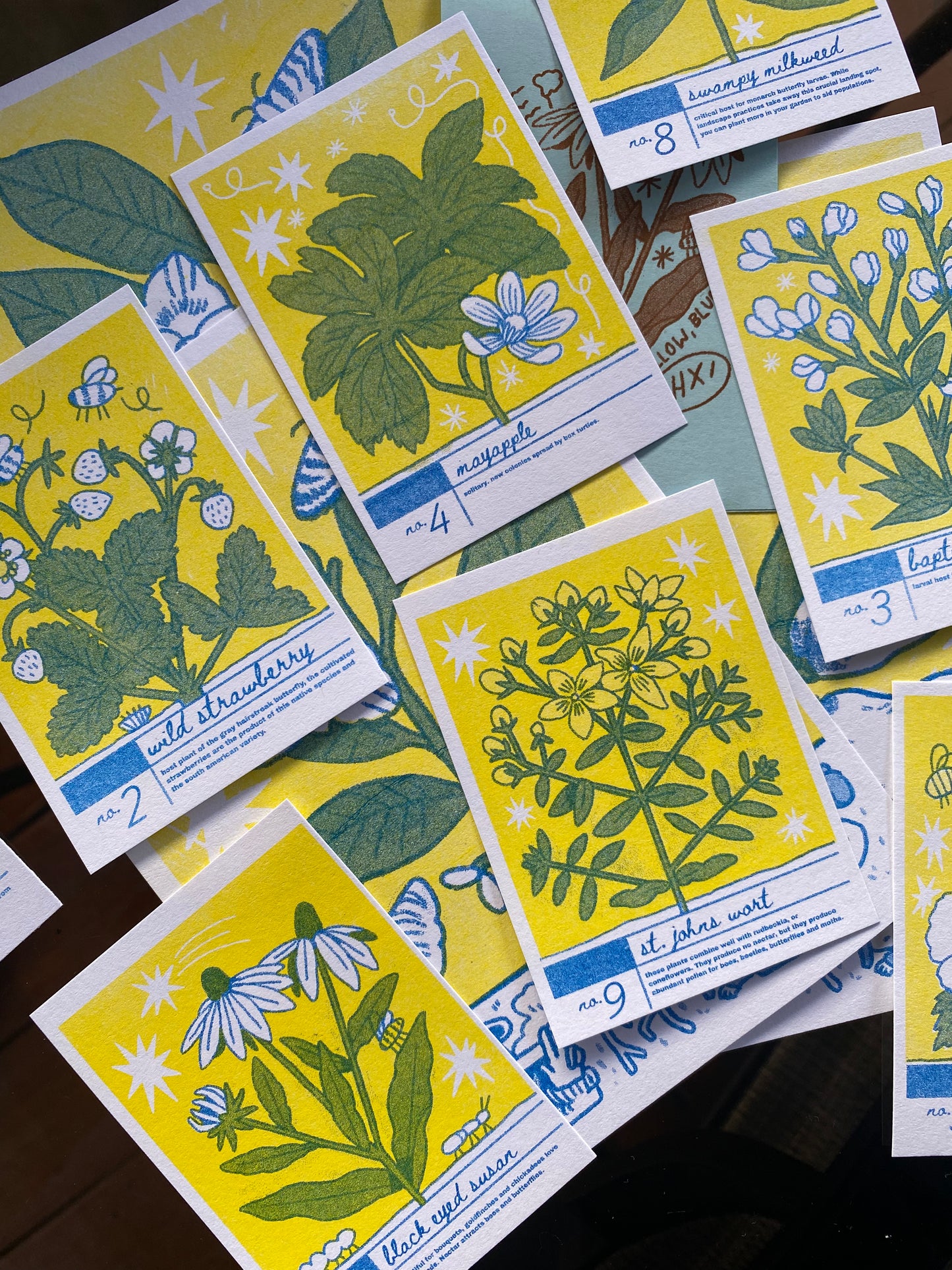 Creek Cards - Riso-Printed Plant Trading Cards