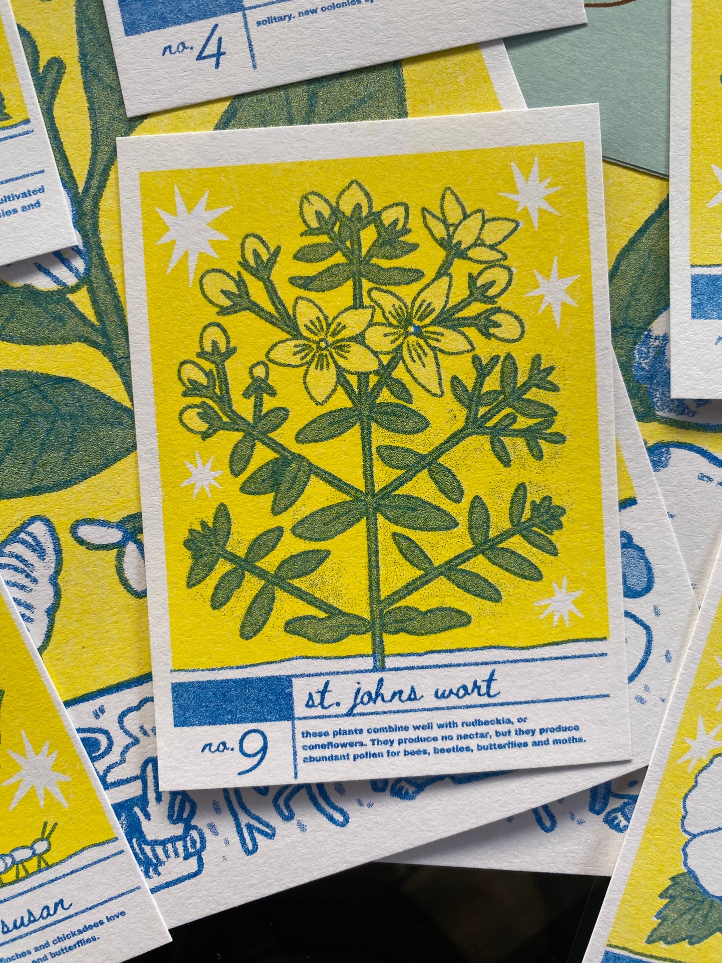 Creek Cards - Riso-Printed Plant Trading Cards