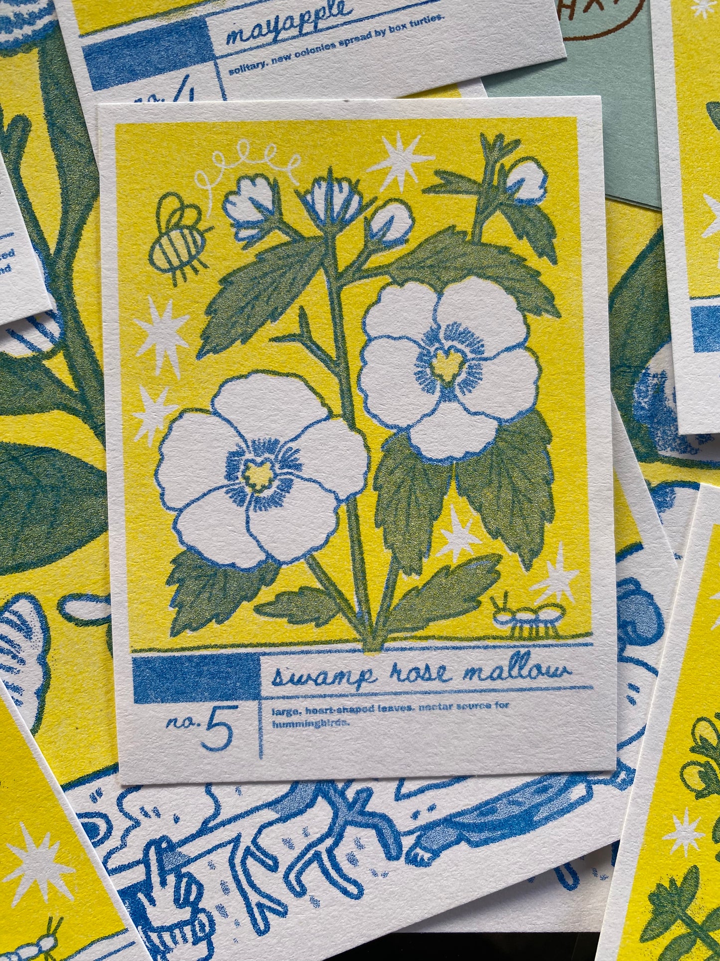 Creek Cards - Riso-Printed Plant Trading Cards
