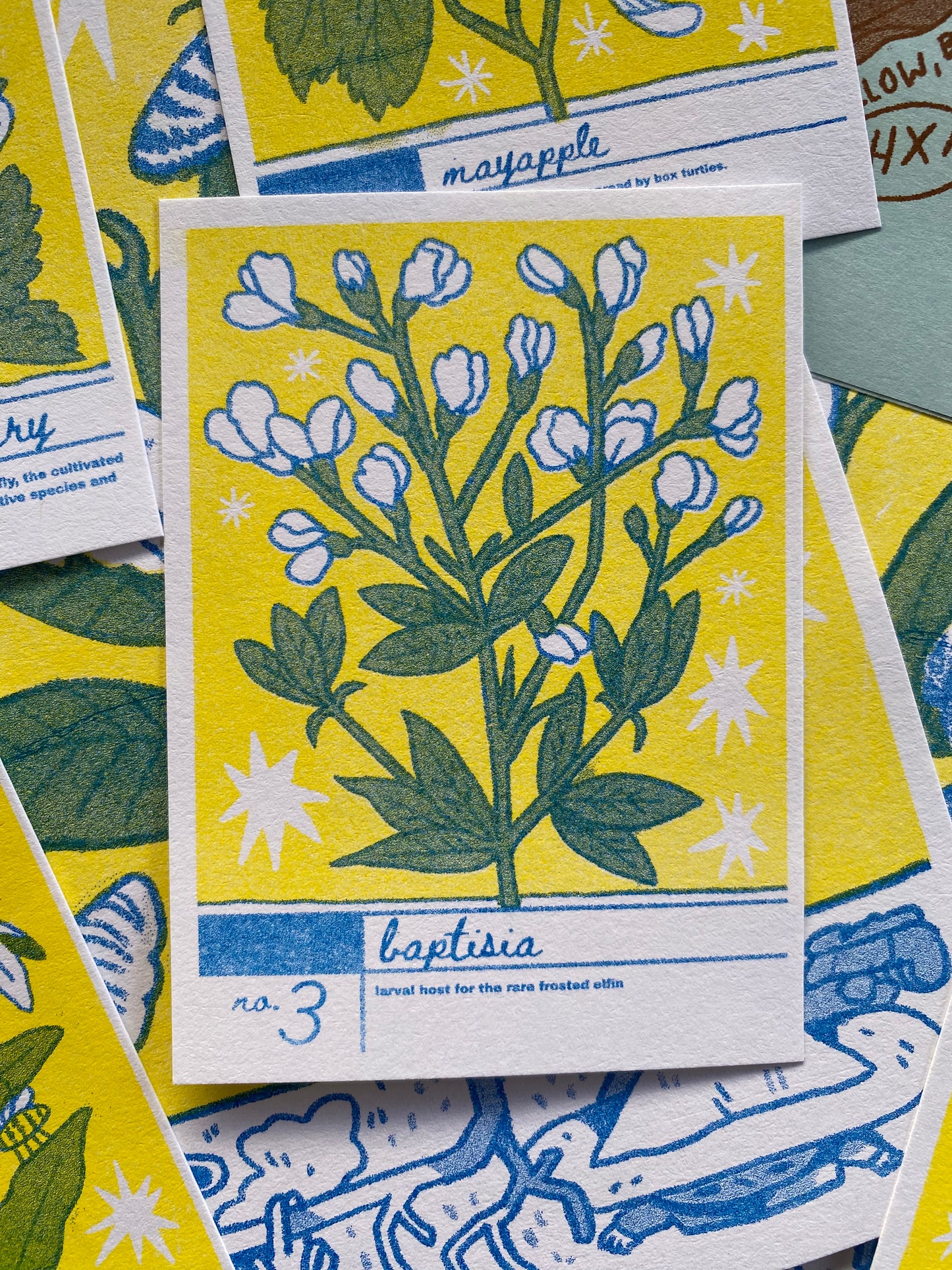 Creek Cards - Riso-Printed Plant Trading Cards