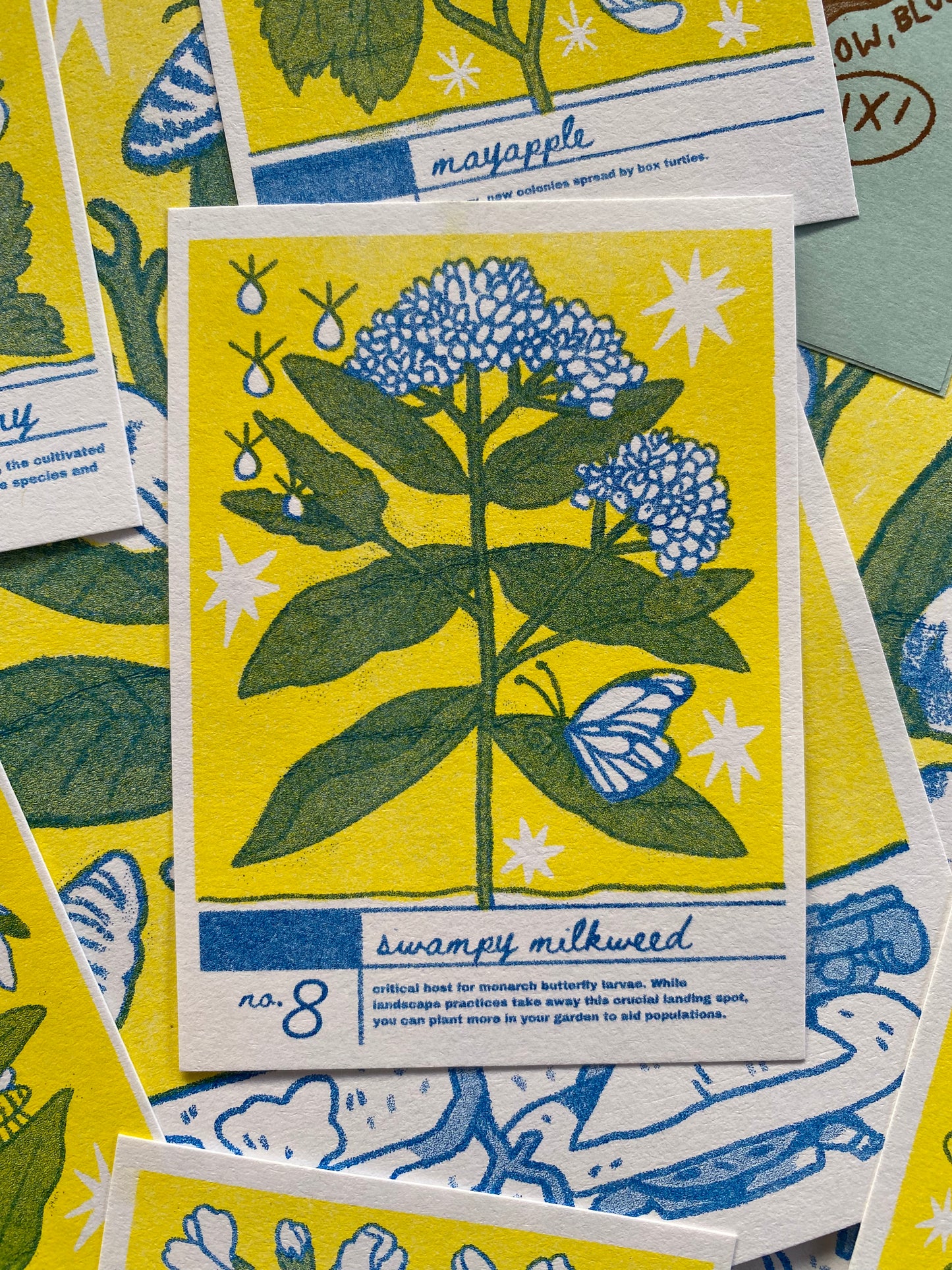 Creek Cards - Riso-Printed Plant Trading Cards