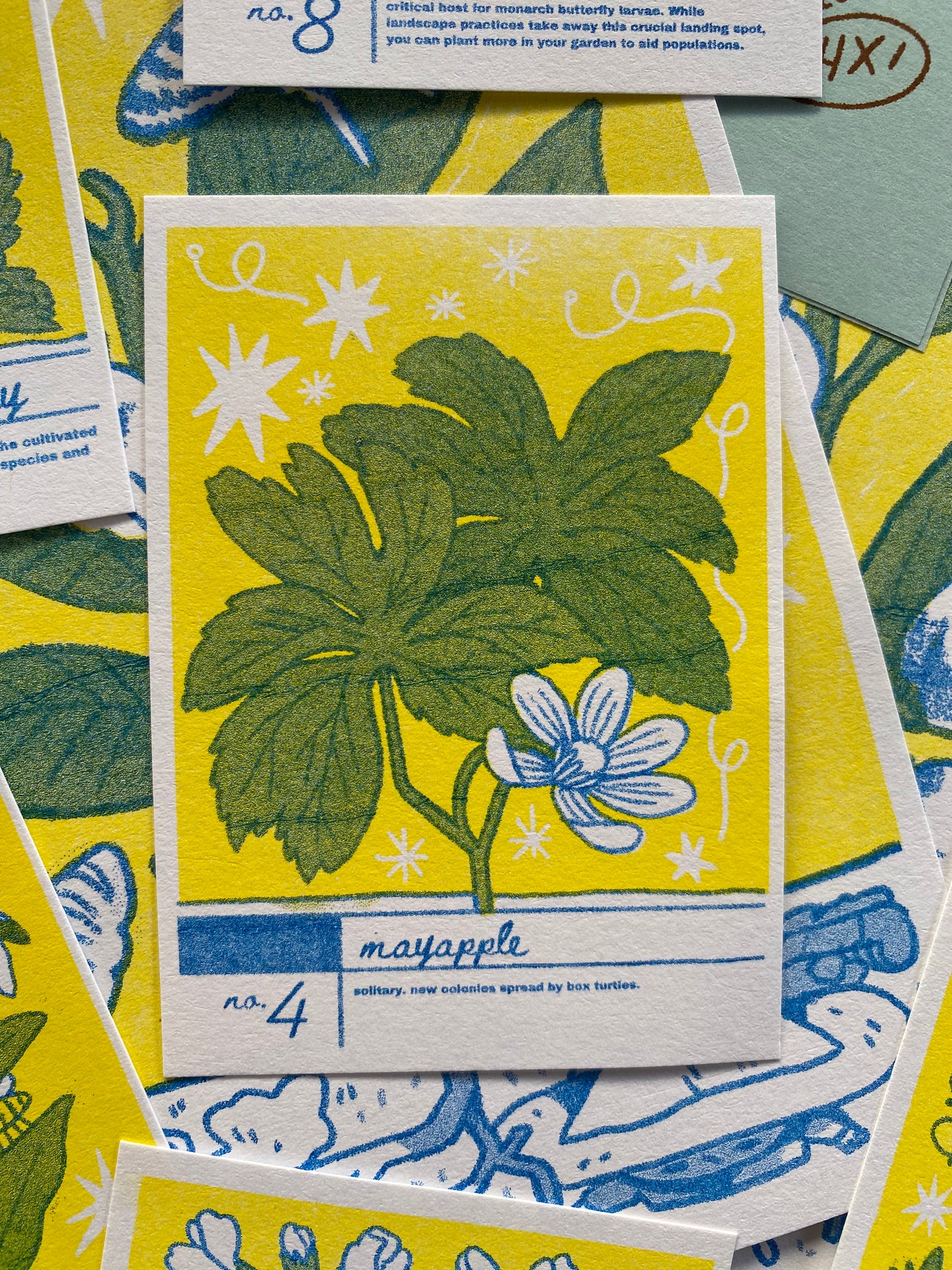 Creek Cards - Riso-Printed Plant Trading Cards