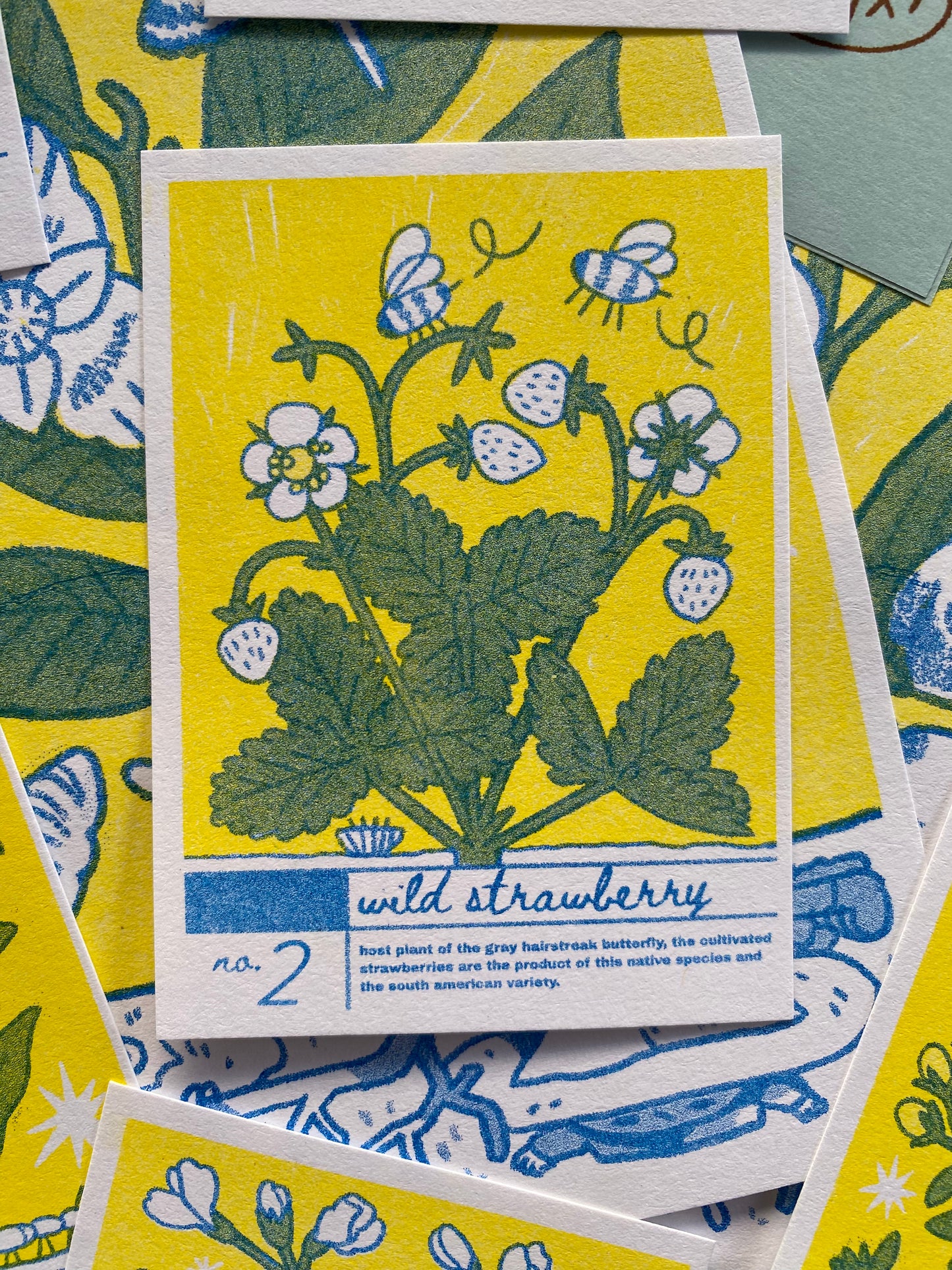 Creek Cards - Riso-Printed Plant Trading Cards
