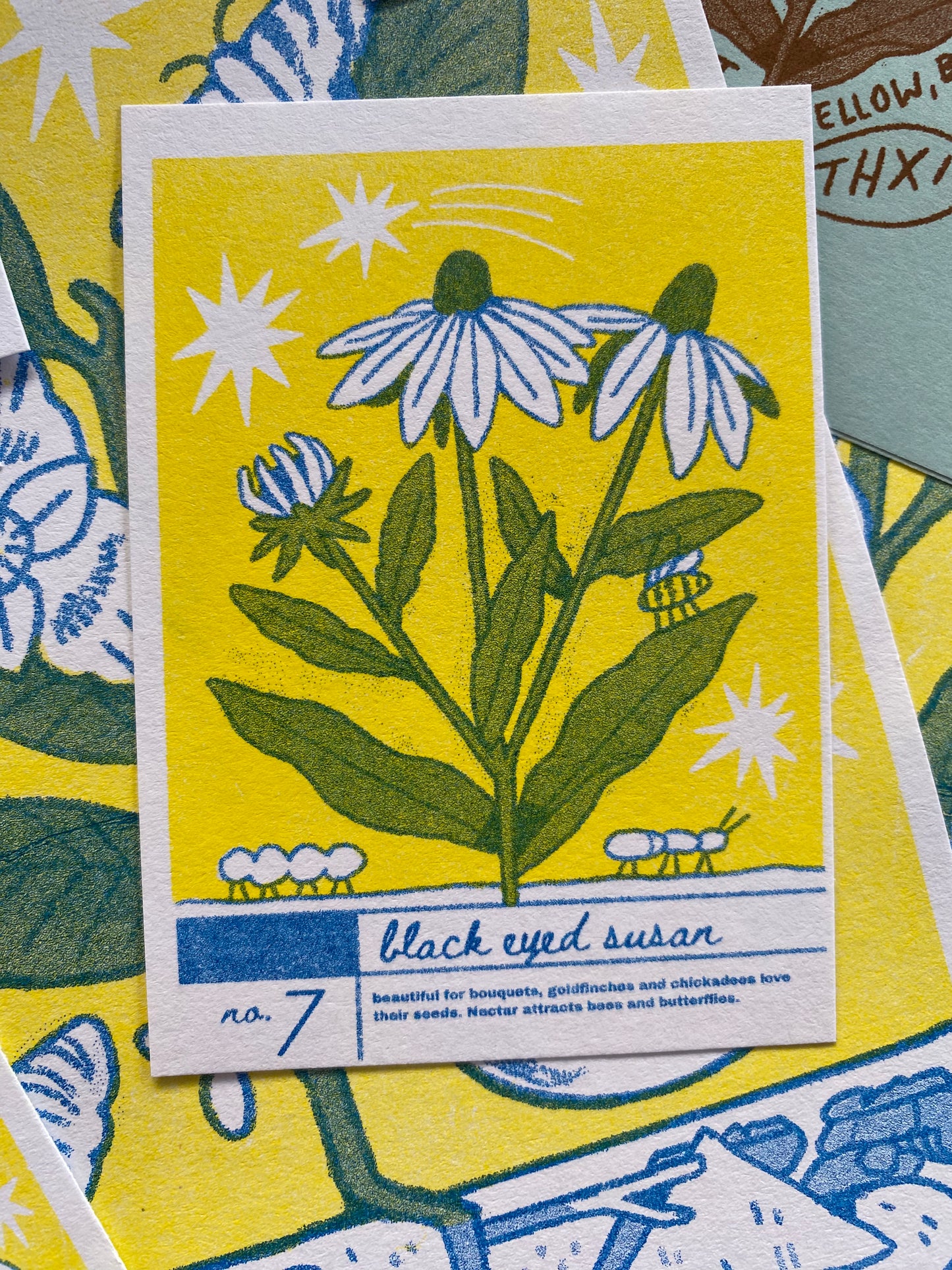 Creek Cards - Riso-Printed Plant Trading Cards