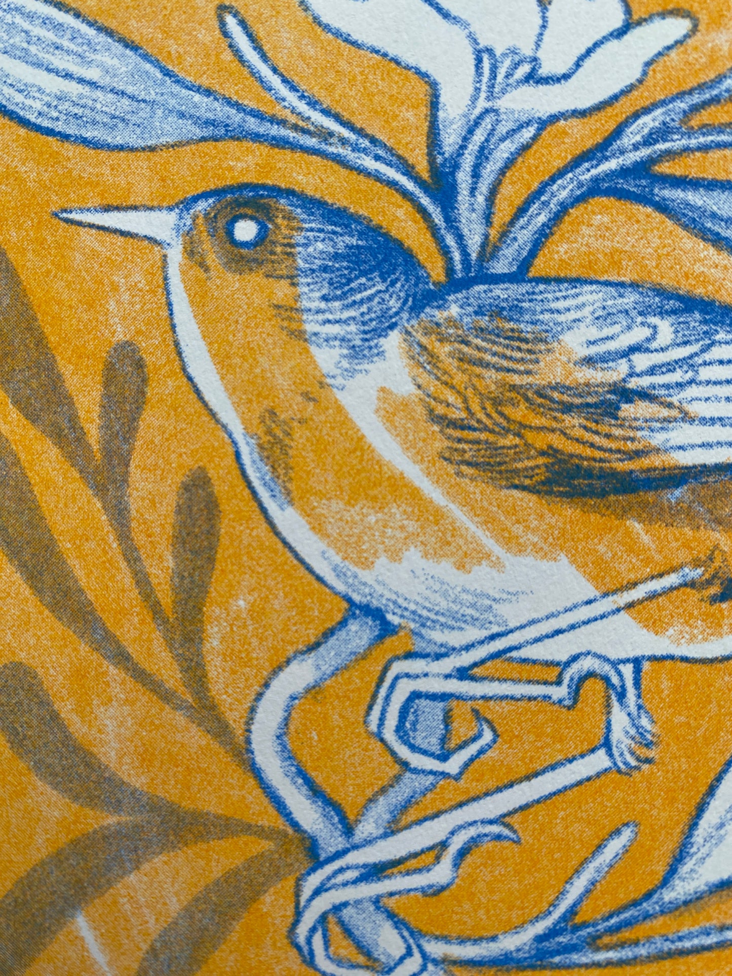 Cornflower Bird Risograph Postcard Print