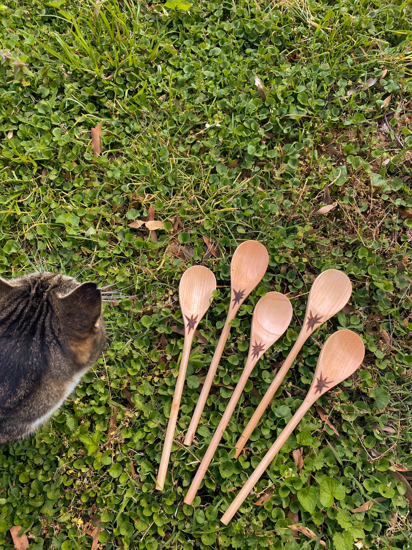 Wood-Burned Birch Spoons