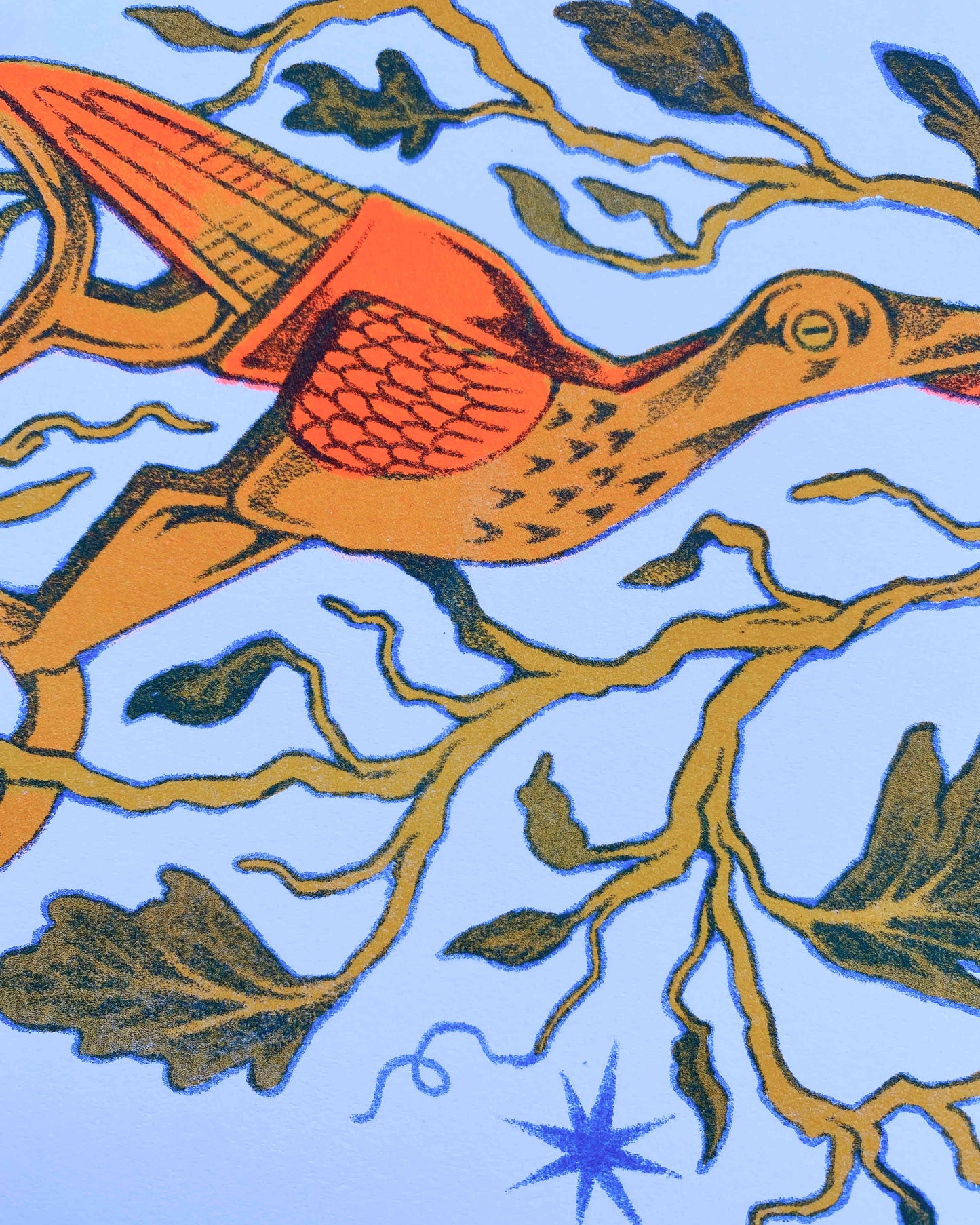 Florescent Stork Scissors Riso Print