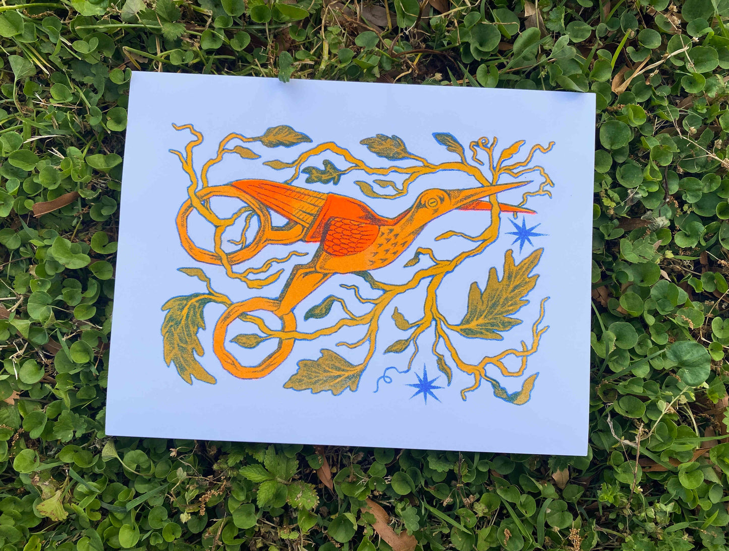 Florescent Stork Scissors Riso Print