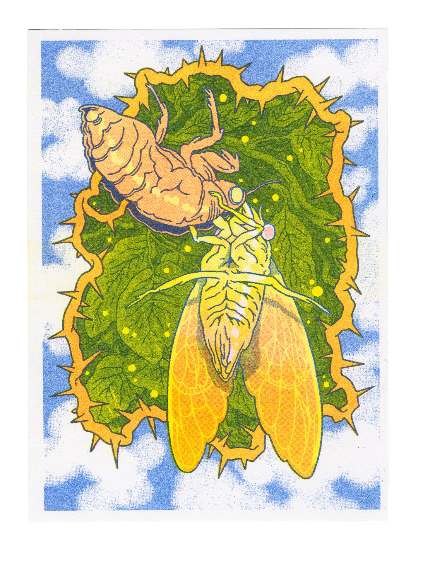 Cicada Risograph Post-card Print