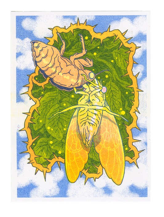 Cicada Risograph Post-card Print