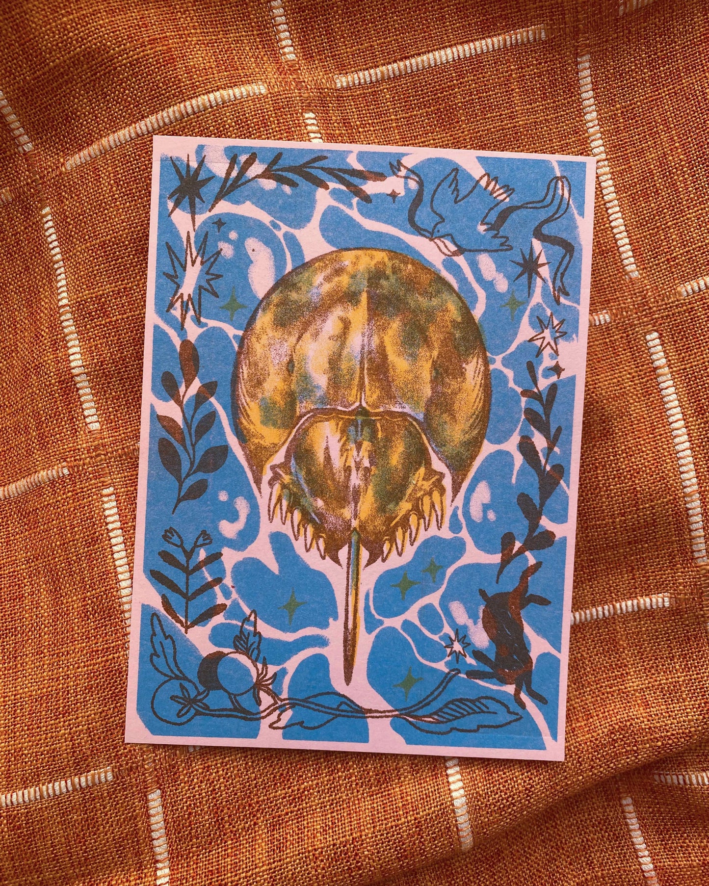 Horseshoe Crab Print