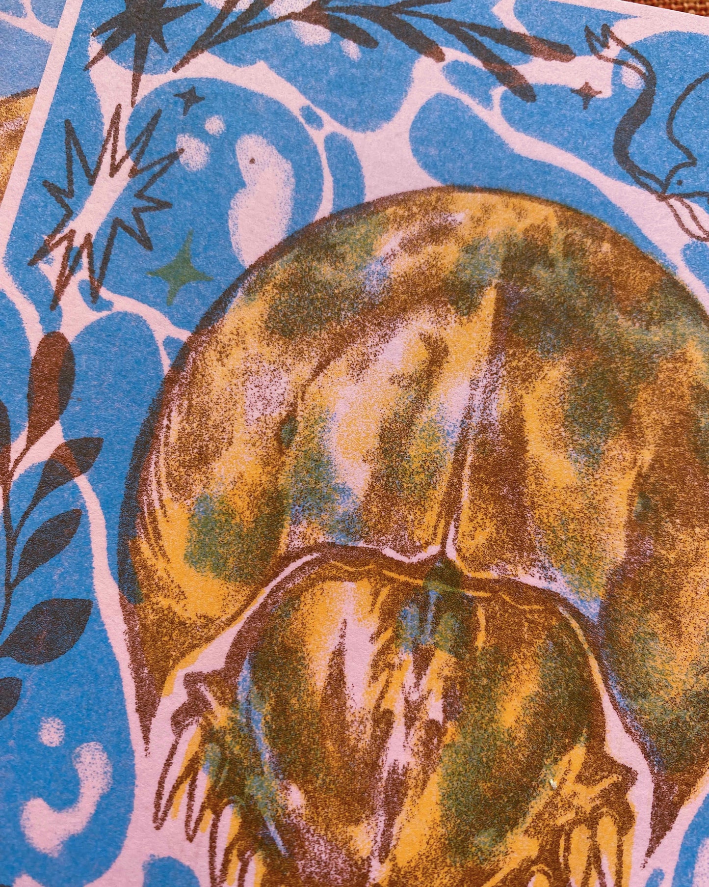 Horseshoe Crab Print