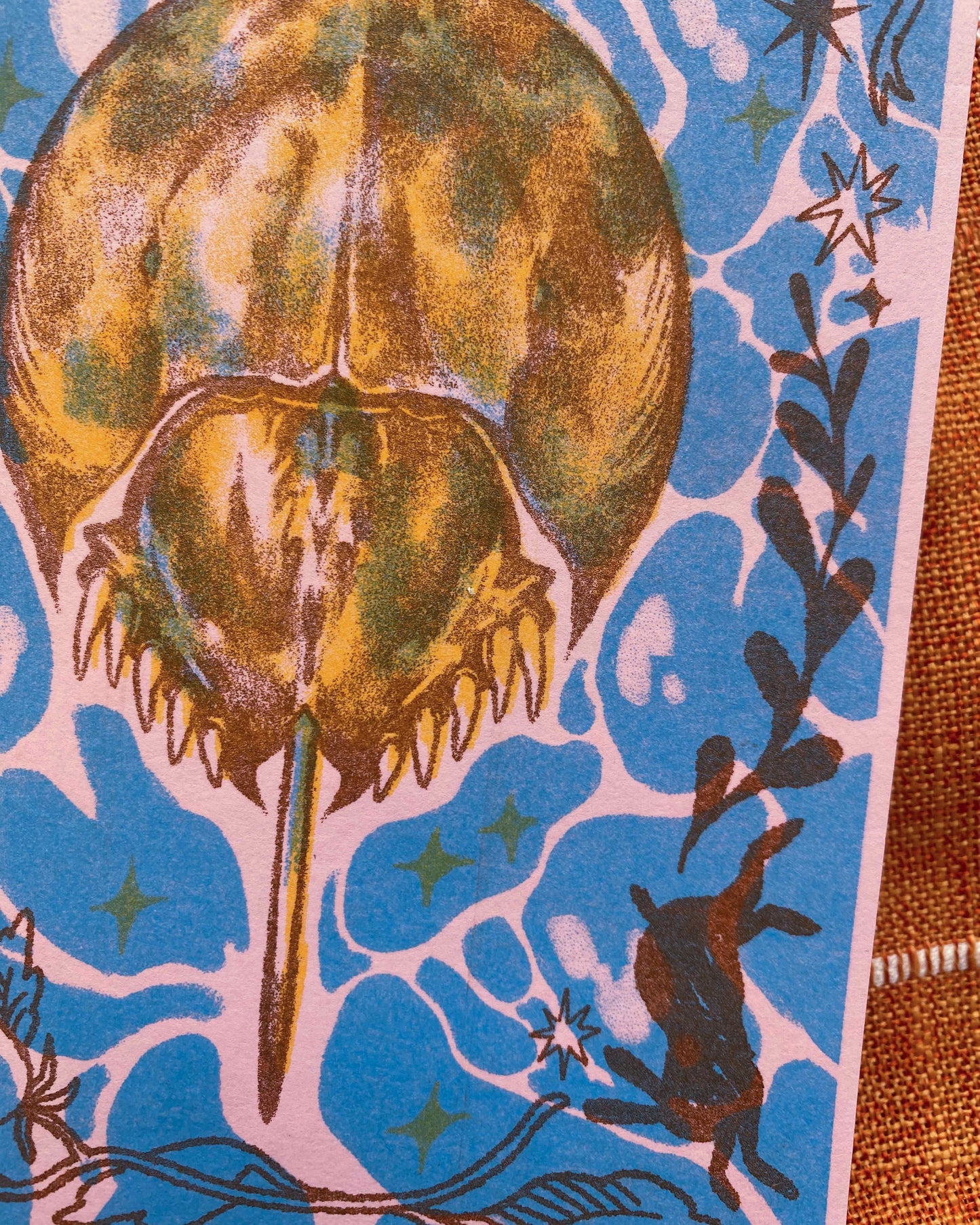 Horseshoe Crab Print