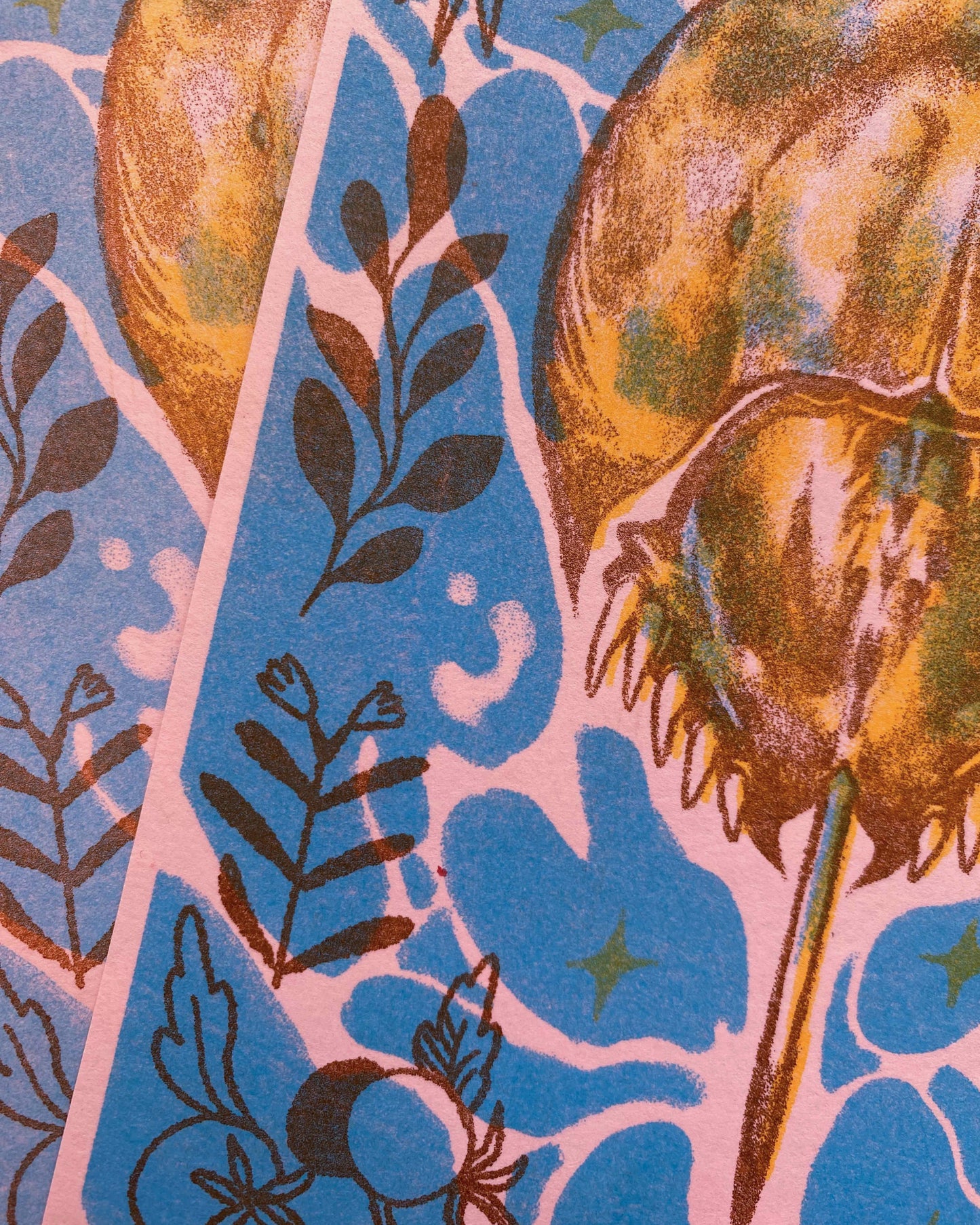 Horseshoe Crab Print