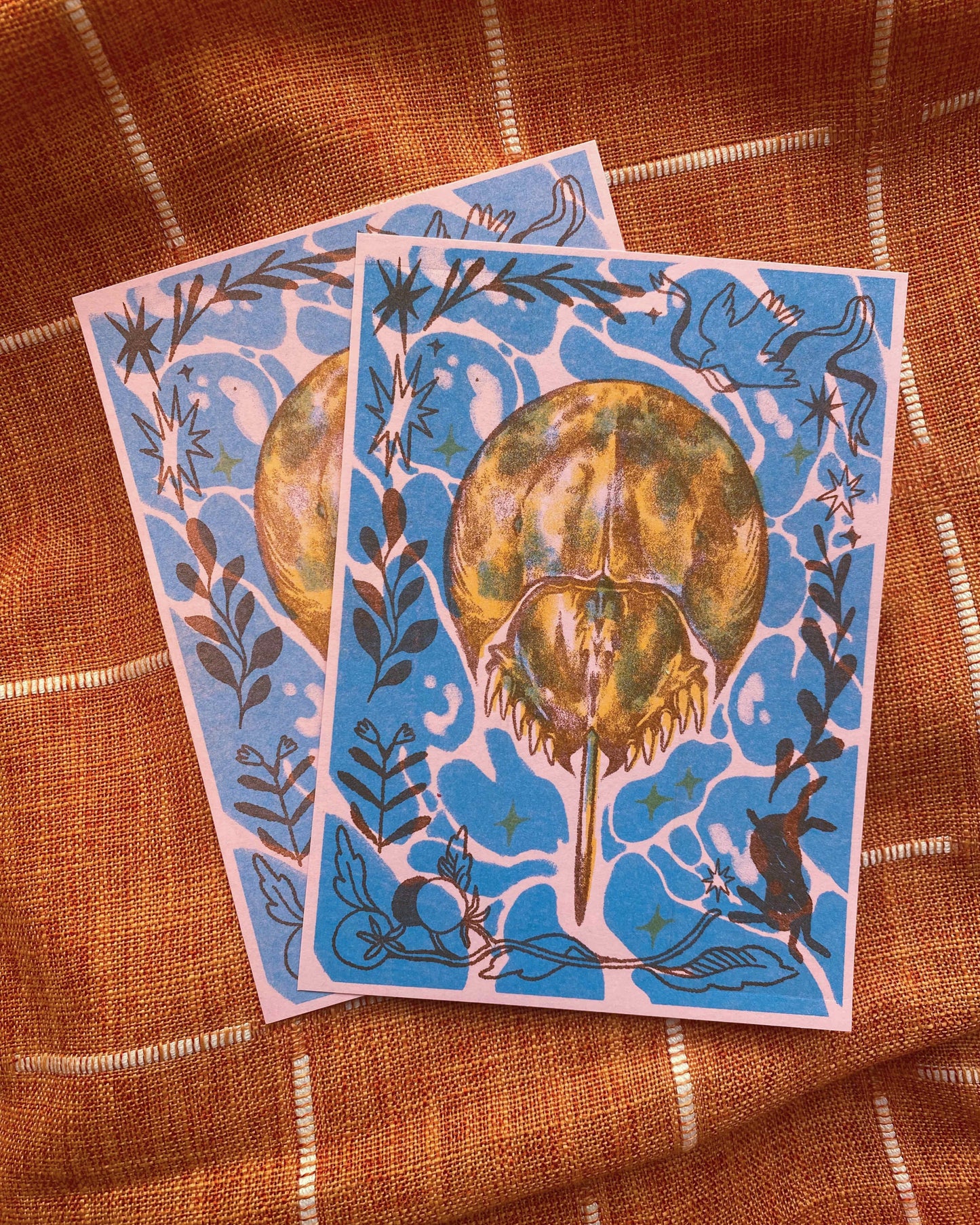 Horseshoe Crab Print