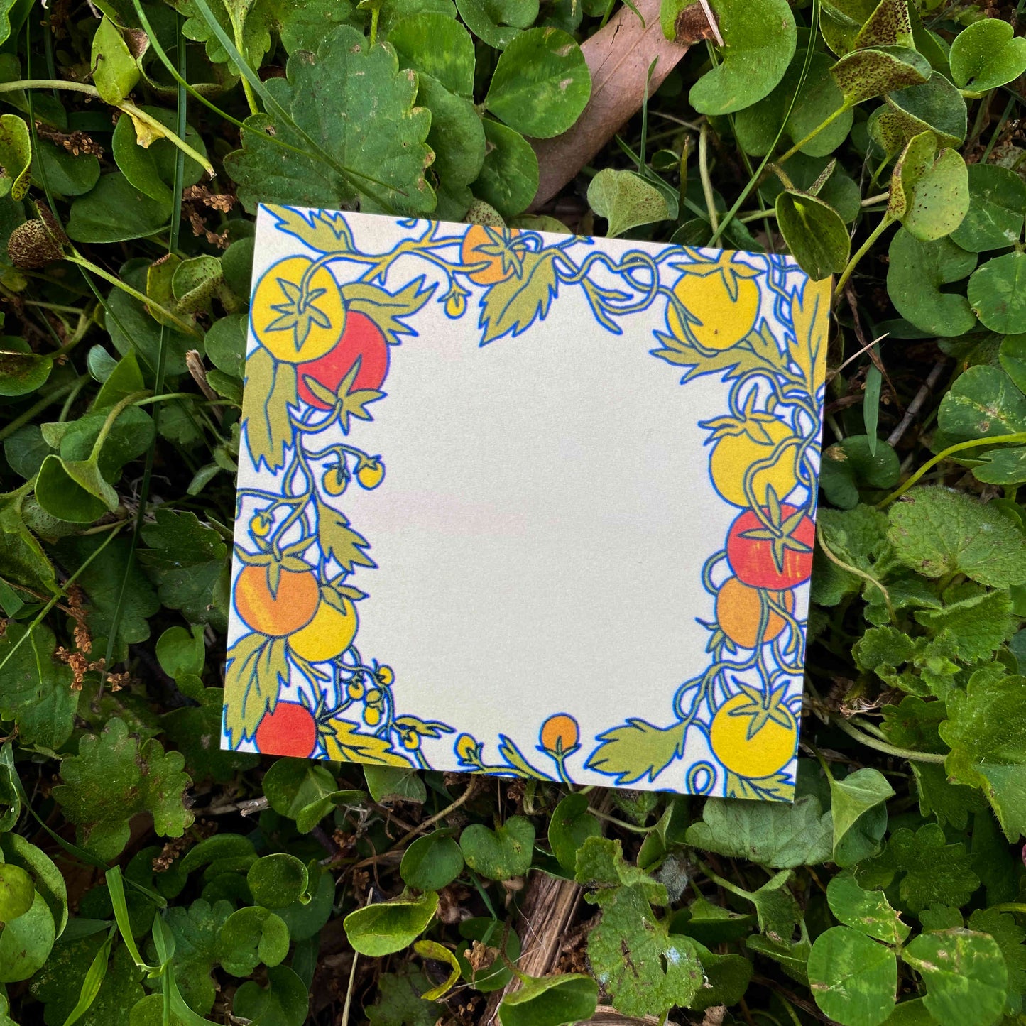 Tomato Patch Sticky Notes