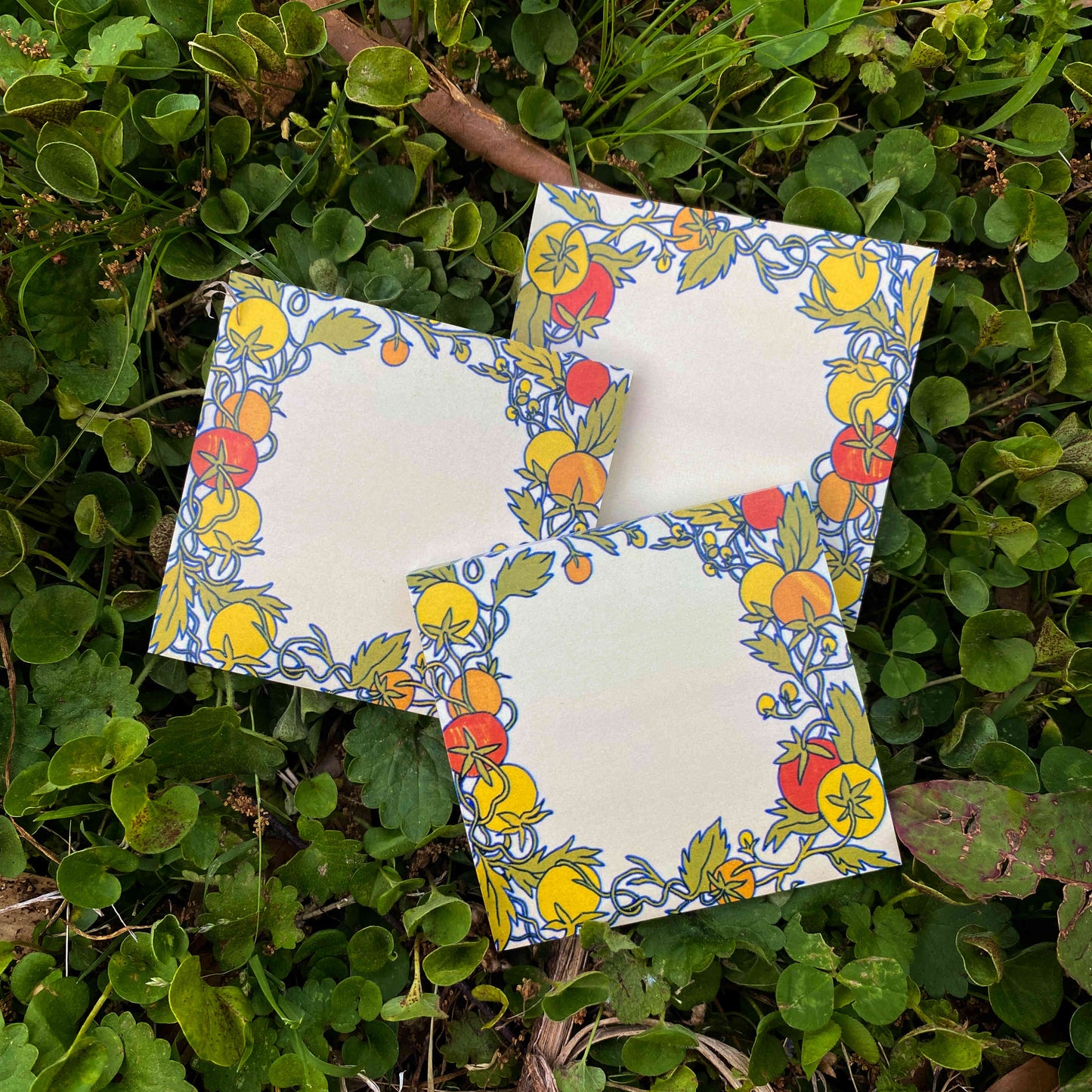 Tomato Patch Sticky Notes
