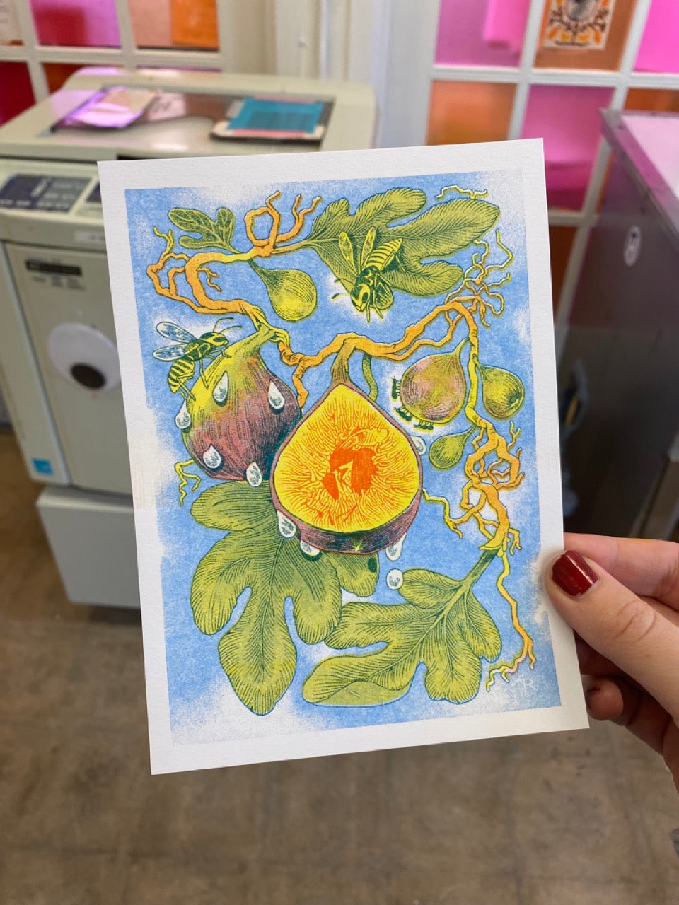 Fig Wasp Riso Print