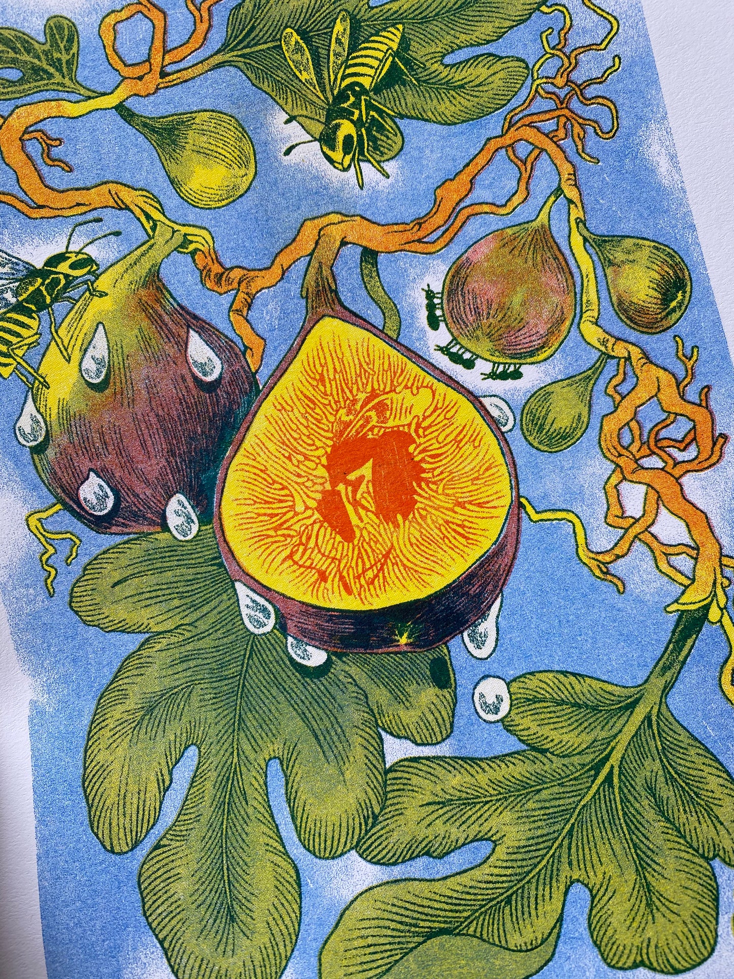 Fig Wasp Riso Print