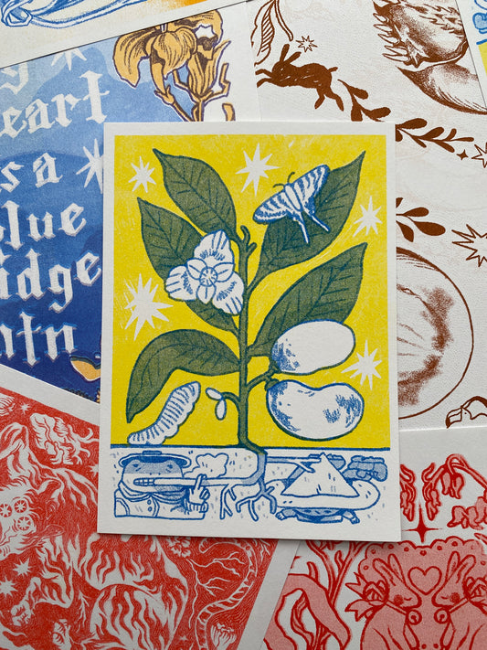 Paw Paw Postcard Risograph Print