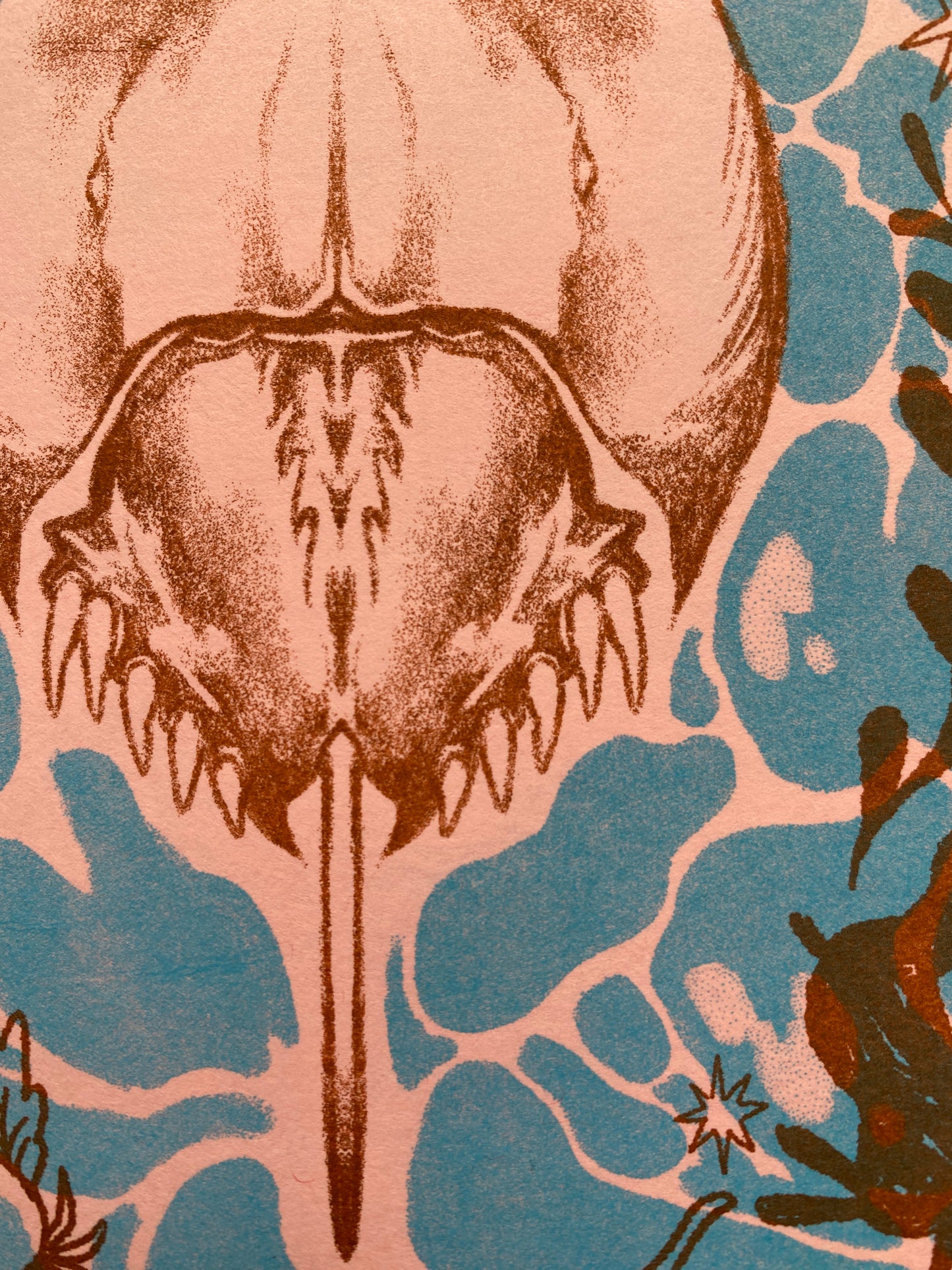 Horseshoe Crab Risograph Postcard Print