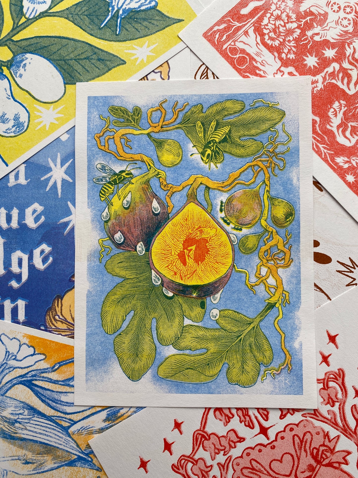 Fig Wasp Risograph Print