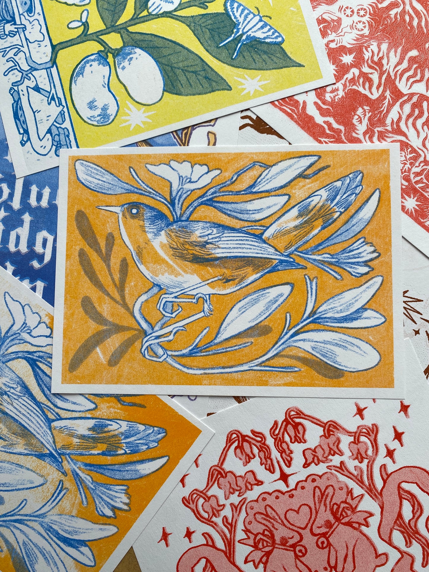 Cornflower Bird Risograph Postcard Print