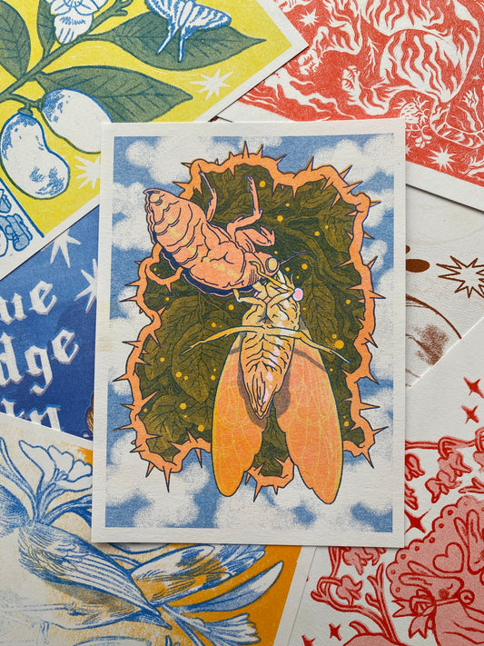 Cicada Risograph Post-card Print