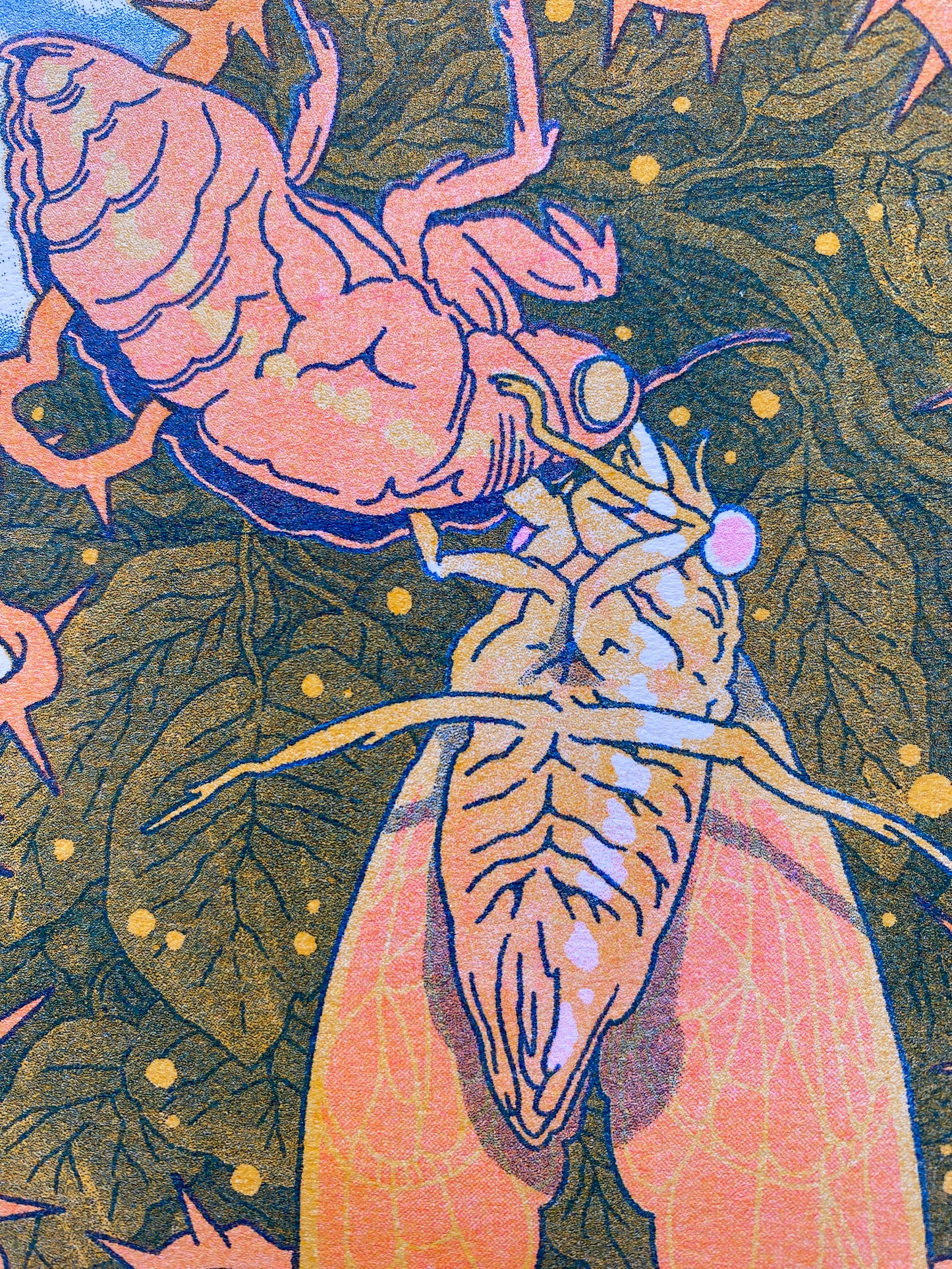 Cicada Shell Risograph Postcard Print