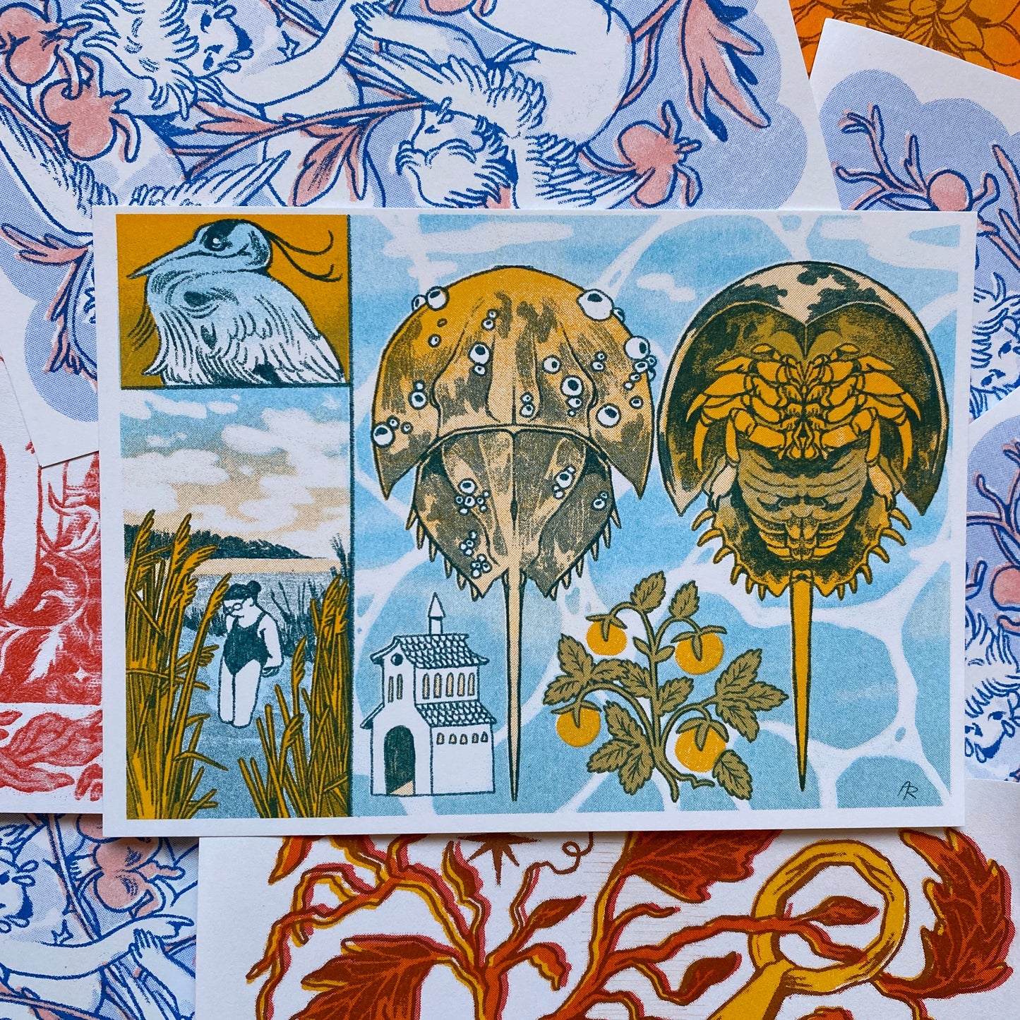 Eastern Shore Horseshoe Crab Riso Print