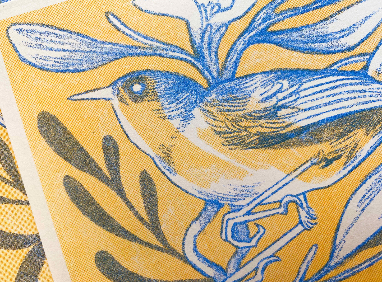 Cornflower Bird Print