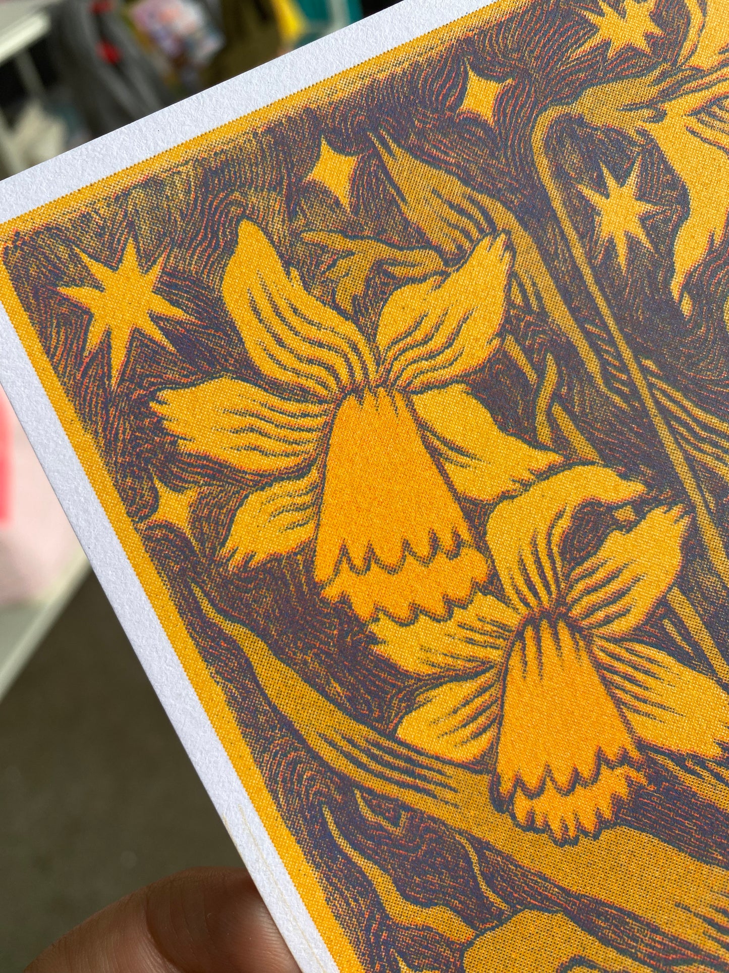 Daffodil Riso Print